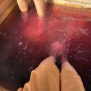 미리내사우나 | 양평여행_미리내 힐빙클럽 카라반 패키지 후기(1)