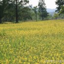 황룡친수공원 이미지