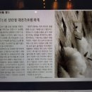 글자 하나 잘못 써서 터진 세계적 대참사 : '71 대연각호텔 화재대참사' 이미지