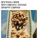 맛있는 전통수제한과 (설 선물용)-주문은 17일 오전9시까지~! 이미지