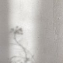 웨이투웨이 이미지