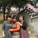 청화대 - 광산구 첨단중앙로67번길 62 | 청화대
