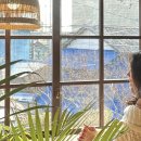 까멜리아 이미지