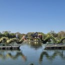 축제로 만나는 부여 여행 이미지