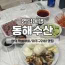 동해초장 | 영덕 횟집 추천 동해수산 막썰어회 맛집 내돈내산 극찬후기
