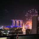 오버힐(OVER HILL) | [싱가포르] Pullman Singapore Hill Street 루프탑 후기 – El Chido, 인피니티풀, 불꽃놀이