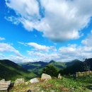 장선목장 네이버블로그