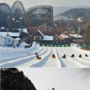 에버스노우 이미지