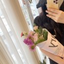 사파동399 이미지