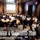 대전그레이프시드 이미지