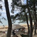 조순금닭도리탕 | 캠핑 밀키트 닭볶음탕 레시피 조순금닭도리탕 후기