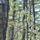 창진산장휴게소 이미지