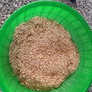 임실튀밥 이미지