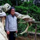 다원조경 이미지