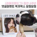 도그앤박스 이미지