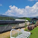 현곡농장 이미지