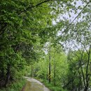 동항소류지 이미지