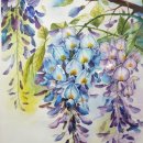 대양유화 이미지