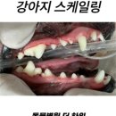동물병원 더 하임 이미지