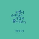 강영임시집《햇살이 술이었던가 바람이 춤이었던가》2026.07.08.상상인 이미지