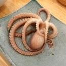 신안갯벌세발낙지 이미지