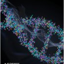 (주)삼양수지 이미지