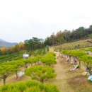 청솔2목장 이미지