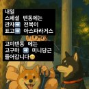 [맛집] 웨이팅 해서 먹는 텐동집, 만촌동 ‘고미텐’