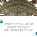 꽃게 제철 꽃게 효능 안좋은점 이미지