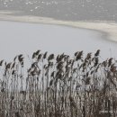 강가의 추억 이미지