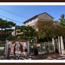 세화부동산 공인중개사사무소 이미지