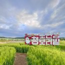 조만강생태체육공원 이동식화장실 | 경남 김해 청보리밭 탐방로 3일 한정개방 조만강 산책후기