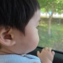 4195 | 폭염 탈출! 아기와 함께한 공주 동학사 계곡 + <서울식당> 방문 후기