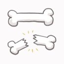바디 컨피던스 네이버블로그