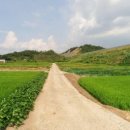 화산면611 이미지