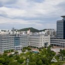 효문공단 내부도로 이미지