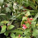 신일목장 이미지