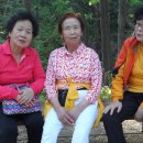 행은목장 이미지