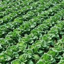 방림복지회관 이미지