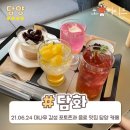 봉산면] 카페 담화, 대나무 감성 포토존과 음료가 너무 맛있는 담양 신상 베이커리 카페 솔직후기 ★★★★