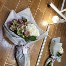강플부띠끄