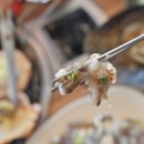 어르신행복식당 이미지