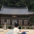 천년태권도 이미지