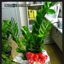 두산동아(아) 이미지