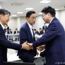 보고