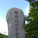 6월 태백산 금대봉 대덕산 산행 이미지