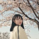 하이헤이호