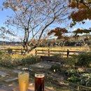 백설애견 | 예산 애견동반카페 사진찍기 좋은 백설농부