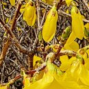 고려건강원 이미지