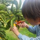 한율이네 농장 이미지